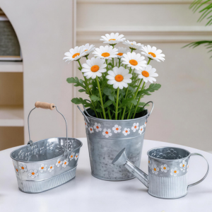 White daisies displayed in a vintage-style metal bucket planter